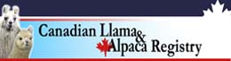 Canadian Llama & Alpaca Association